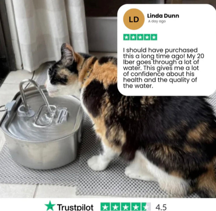 Purrify™ Advanced Automatic Stainless Steel Cat Water Fountain, 108 oz (3.2 L)