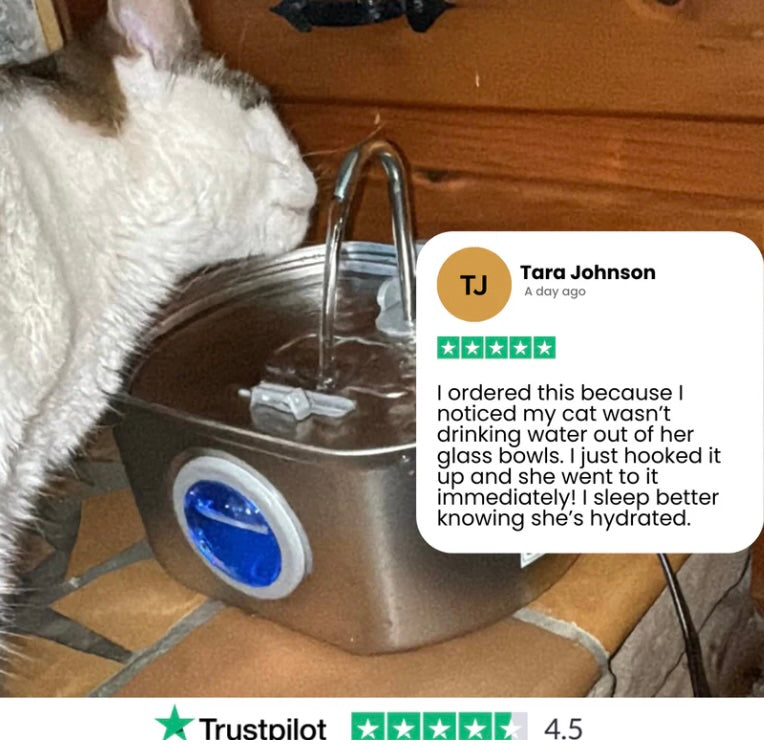 Purrify™ Advanced Automatic Stainless Steel Cat Water Fountain, 108 oz (3.2 L)
