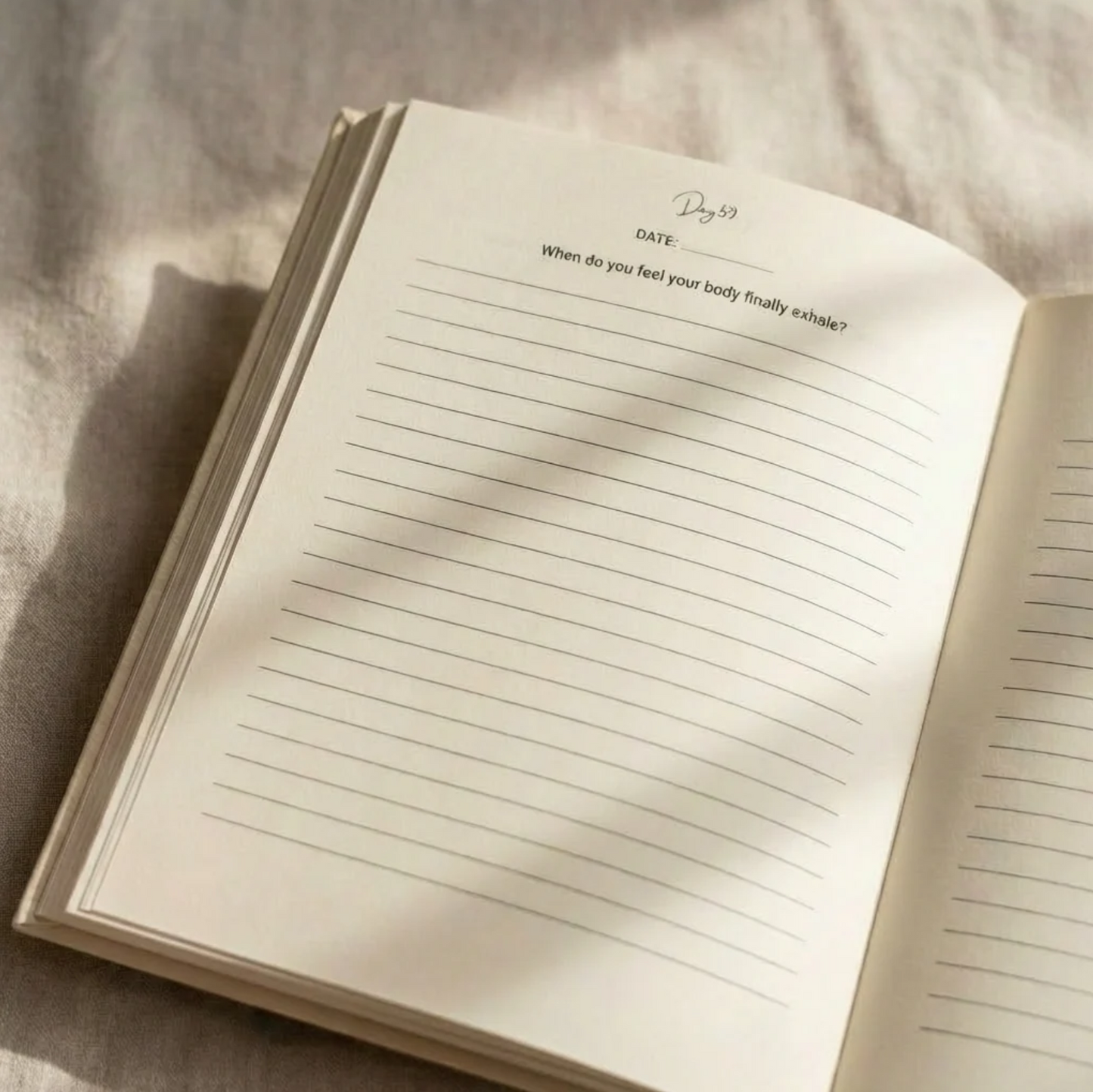 Back to You Journal: 365 Day Healing Journey by Purrify