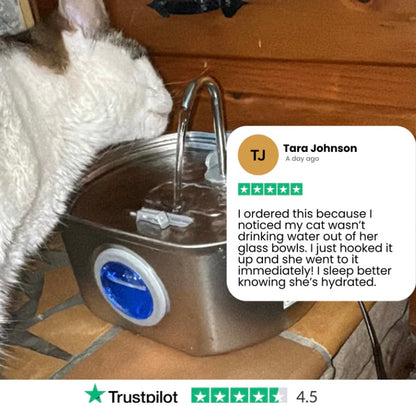Purrify™ Advanced Automatic Stainless Steel Cat Water Fountain, 108 oz (3.2 L)