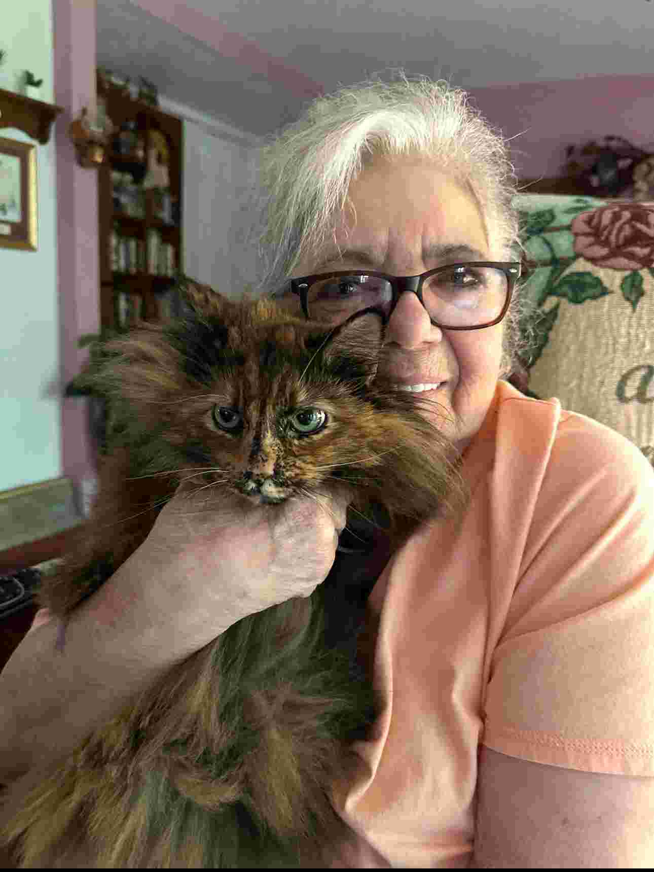 files/i-went-with-my-grandma-to-get-a-kitten-once-10-years-later-v0-qqss82p80fee1_1_1_1.jpg